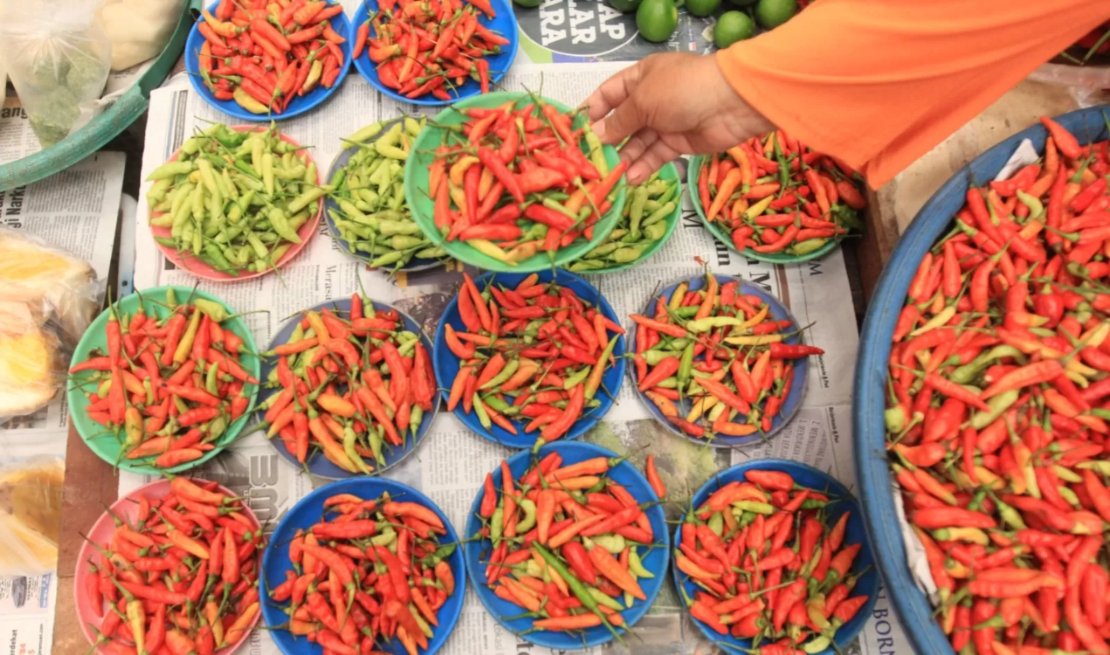 Pedagang Cabai 3242039855