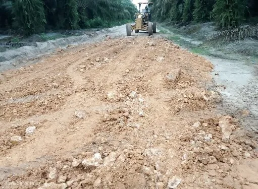 Proyek Penimbunan Jalan Perkebunan Sawit PT ISA, Diduga Gunakan Material Galian Bermasalah