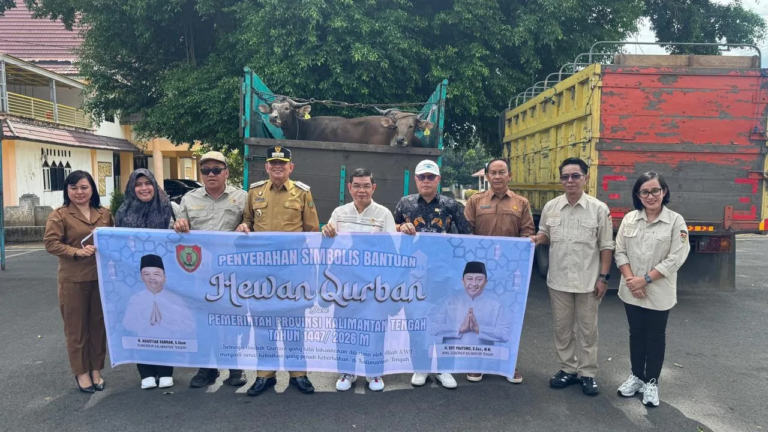 Pemkab Bartim Terima 20 Ekor Sapi Dari Pemprov Kalteng