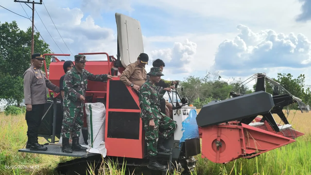 Bupati Bartim Panen Padi di Kalamus Gunakan Combine Harvester