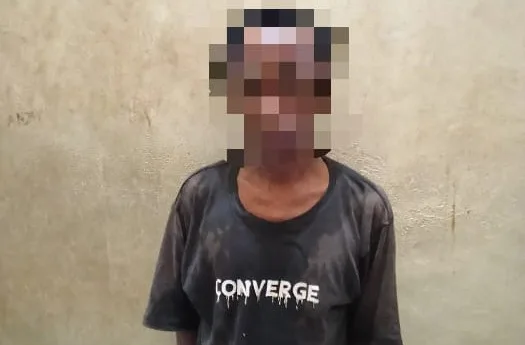 Diduga Gasak Anak Dibawah Umur Pria Ini Dibekuk Polisi