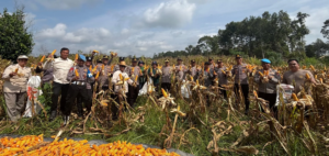 Dukung Ketahanan Pangan, Wakapolres Barsel Pimpin Panen Raya Jagung di Desa Mangaris