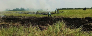 Akibat Kemarau Panjang, Lahan HGU PT ISA di Barito Timur Terbakar
