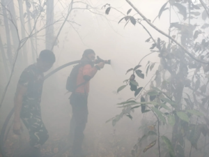 50 Hektare Lahan Gambut Bambulung Terbakar, Baru 5 Hektare Berhasil Dipadamkan