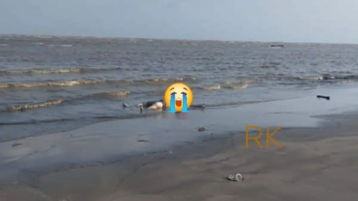 Sesosok Mayat Gunakan Jaket Pelampung  Terdampar di Pantai Sungai Perlu Seruyan