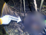 Warga Bentot Geger Atas Temuan Mayat Lansia Dengan Luka Bakar di Kebun Karet